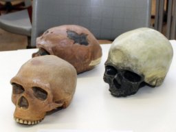 Tag der Offenen Tür 2026